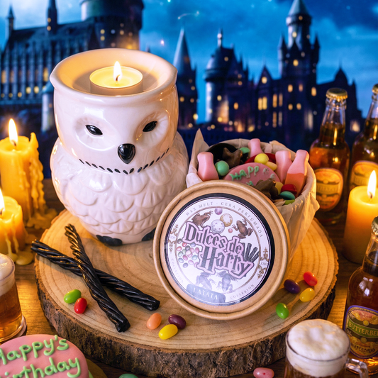 PACK - Dulces de Harry