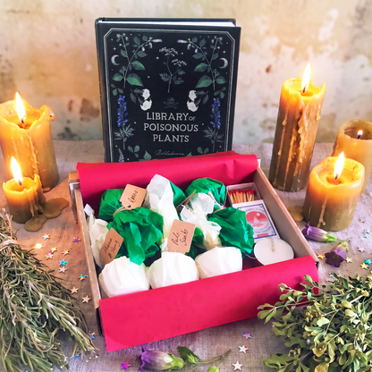 Pack "Ritual del Bosque" ☼