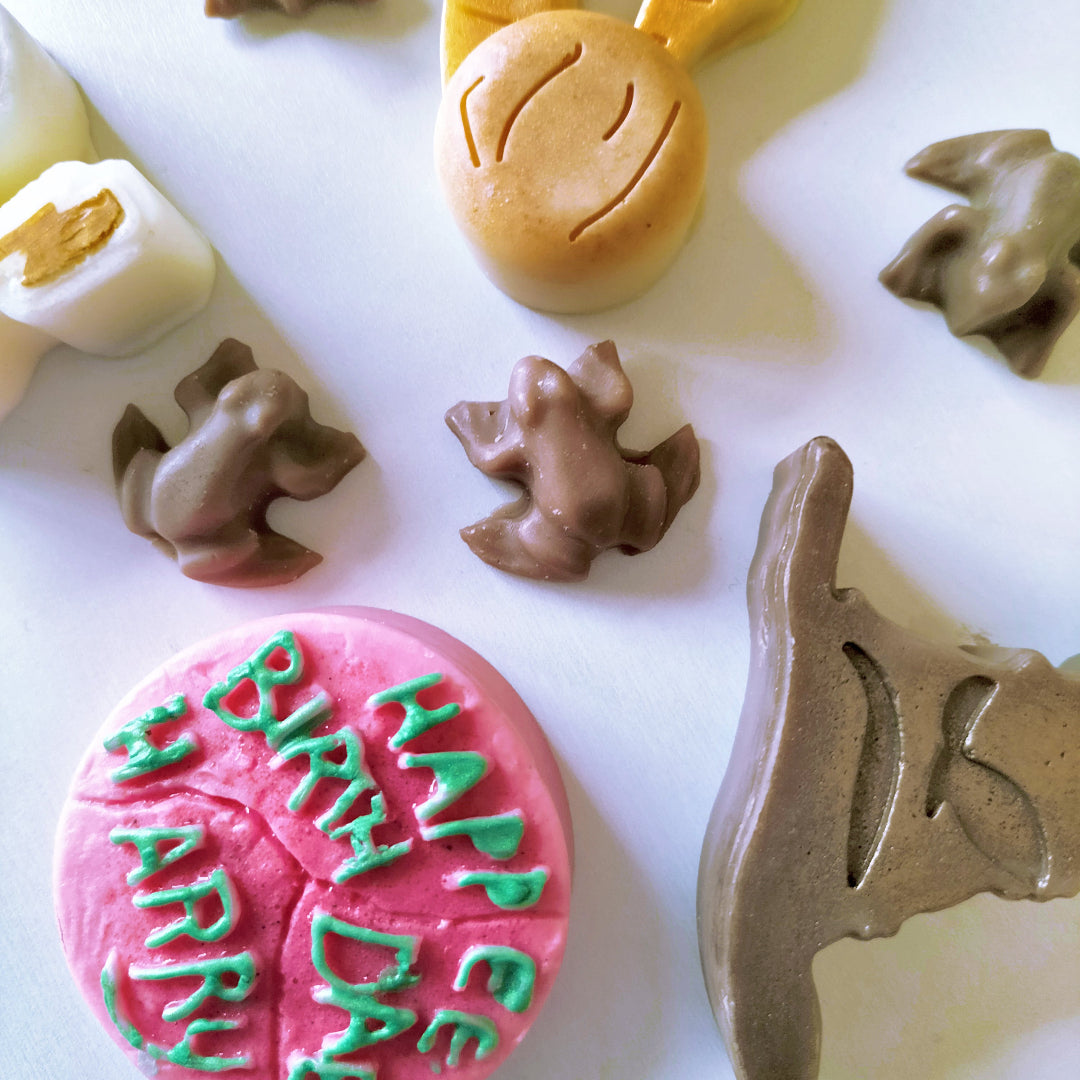 WAX MELTS | Ceras perfumadas naturales | Harry Potter