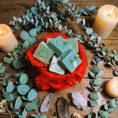 Eucalyptus Scented Wax